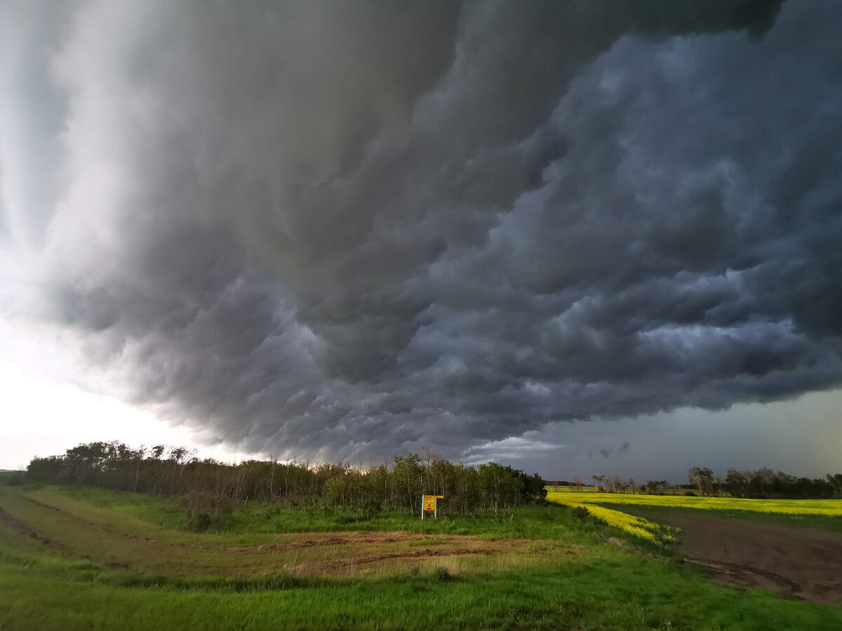 There&#39;s A Storm Coming