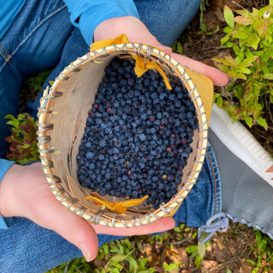 Blueberries in birch bark basket