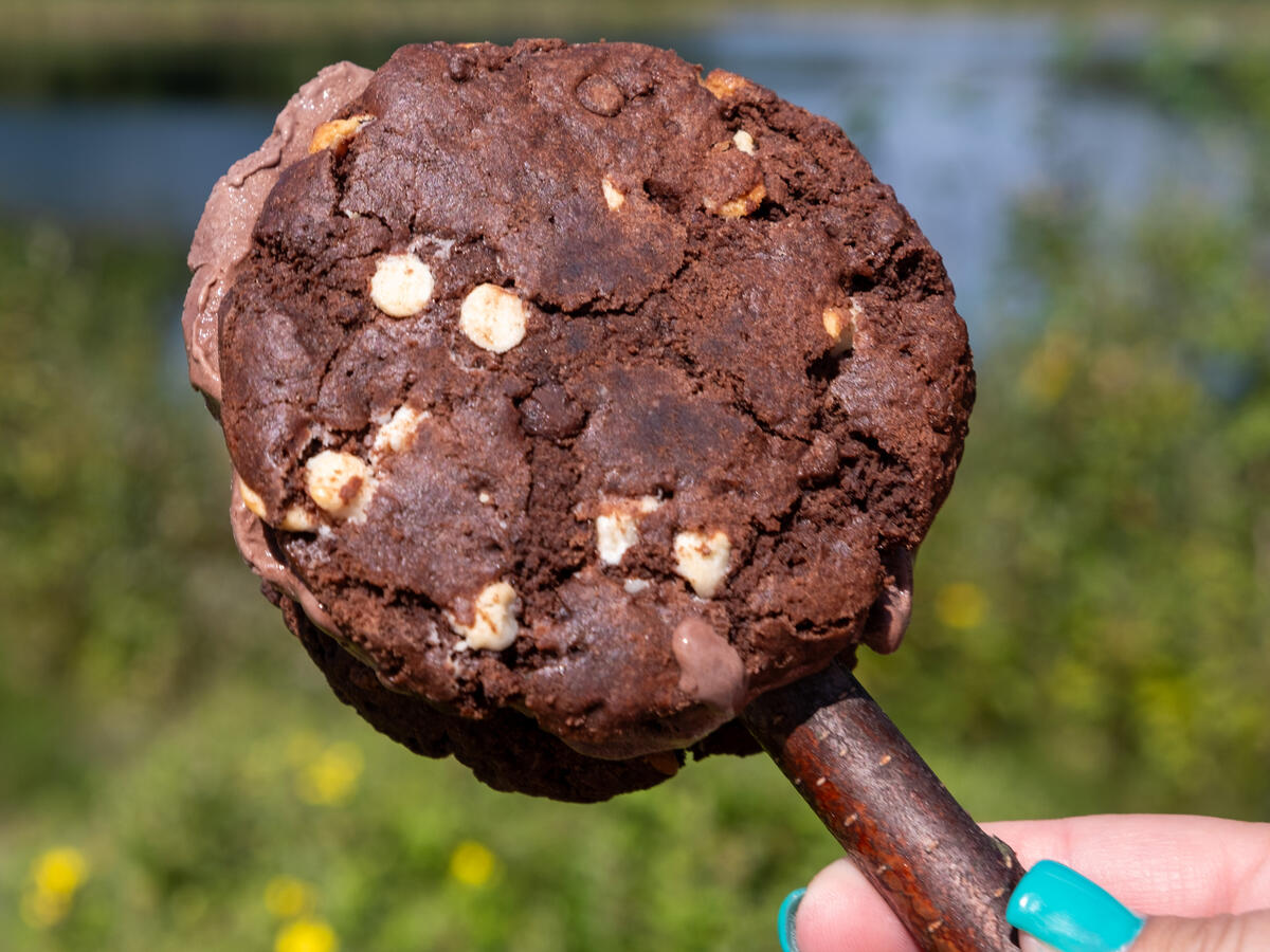 Ice cream sandwich on a poplar stick